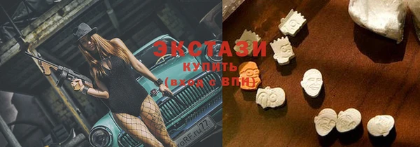индика Осташков