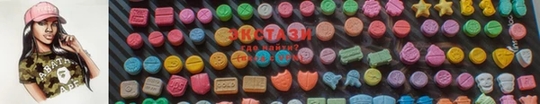 индика Осташков