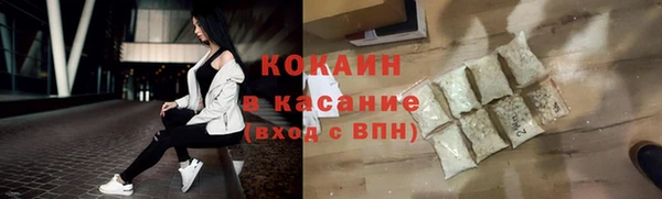 индика Осташков