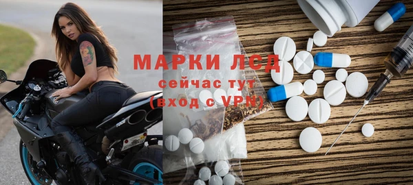 индика Осташков