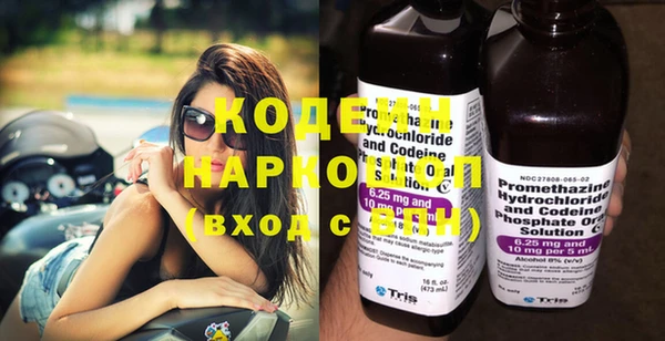 индика Осташков