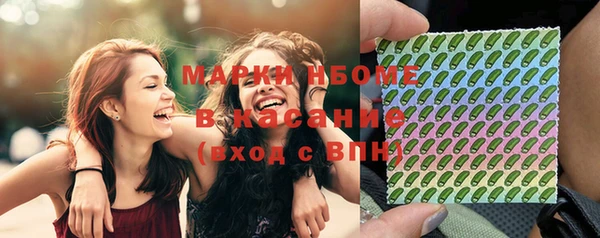 ПСИЛОЦИБИНОВЫЕ ГРИБЫ Няндома