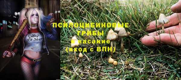 герыч Осинники
