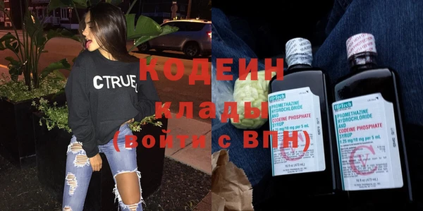 индика Осташков