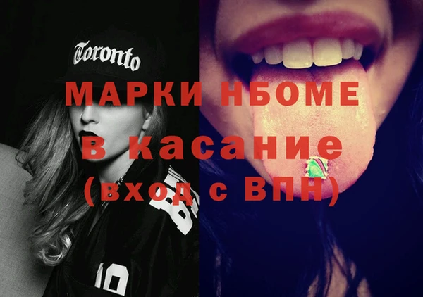 индика Осташков