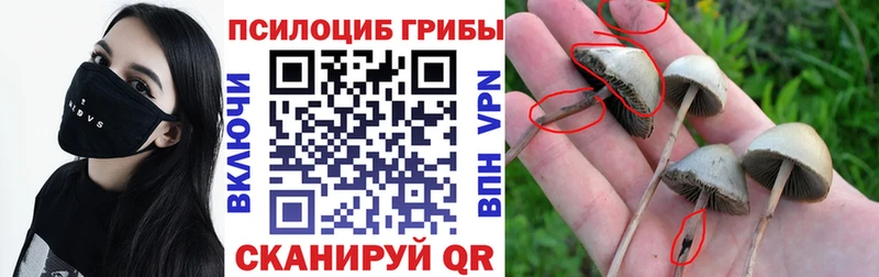 Галлюциногенные грибы мухоморы  Абаза 
